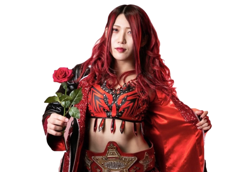 Utami Hayashishita - Pro Wrestlers Database