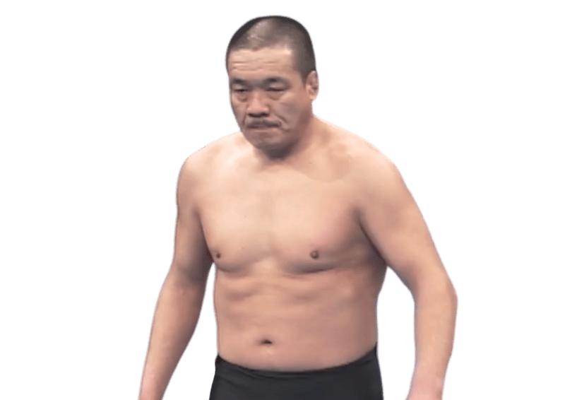 Yoshiaki Fujiwara - Pro Wrestler Profile
