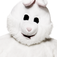 The Bunny The Bunny