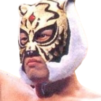 Tiger Mask