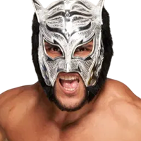 Lince Dorado
