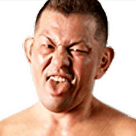 Minoru Suzuki