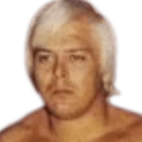 Ronnie Garvin