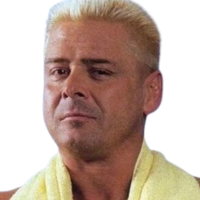 Ronnie Garvin