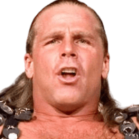 Shawn Michaels: Profile, Career Stats, Face/Heel Turns, Titles Won &  Gimmicks