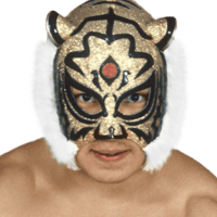 Tiger Mask