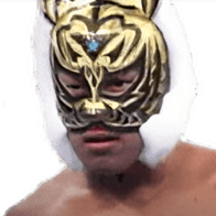 Tiger Mask (III)