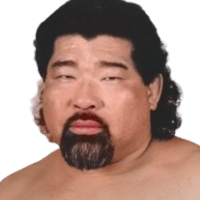 Tiger Chung Lee