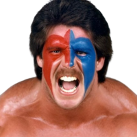 Dingo Warrior Dingo Warrior