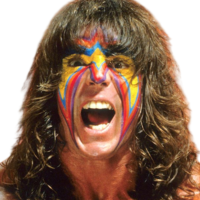 The Ultimate Warrior