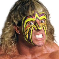 The Ultimate Warrior