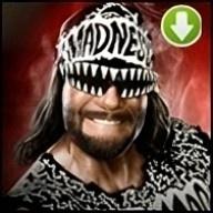 Randy Savage (n.W.o.)