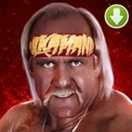 Hulk Hogan (P.O.W.)