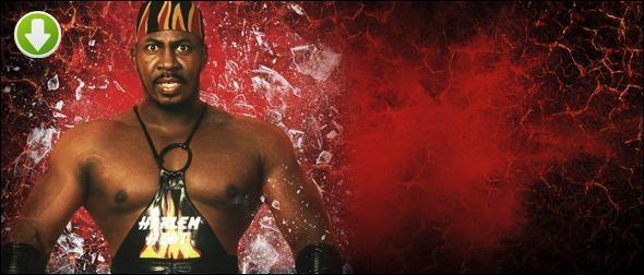 stevie ray wwe