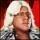 Ric Flair '88