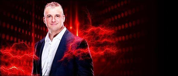 WWE 2K19 Roster Shane McMahon Superstar Profile