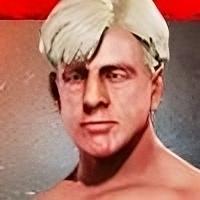 Ric Flair '91 Ric Flair '91