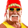 Hulk hogan