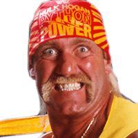 Hulk hogan 80