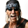 Hollywood hogan