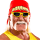 Hulk hogan