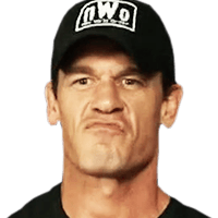 John cena 20 nwo