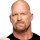 Steve austin 2