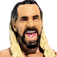 Elite Seth Rollins
