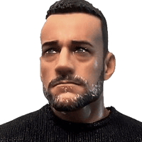 Elite CM Punk